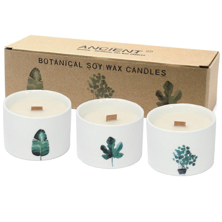 Botanical Garden Candles