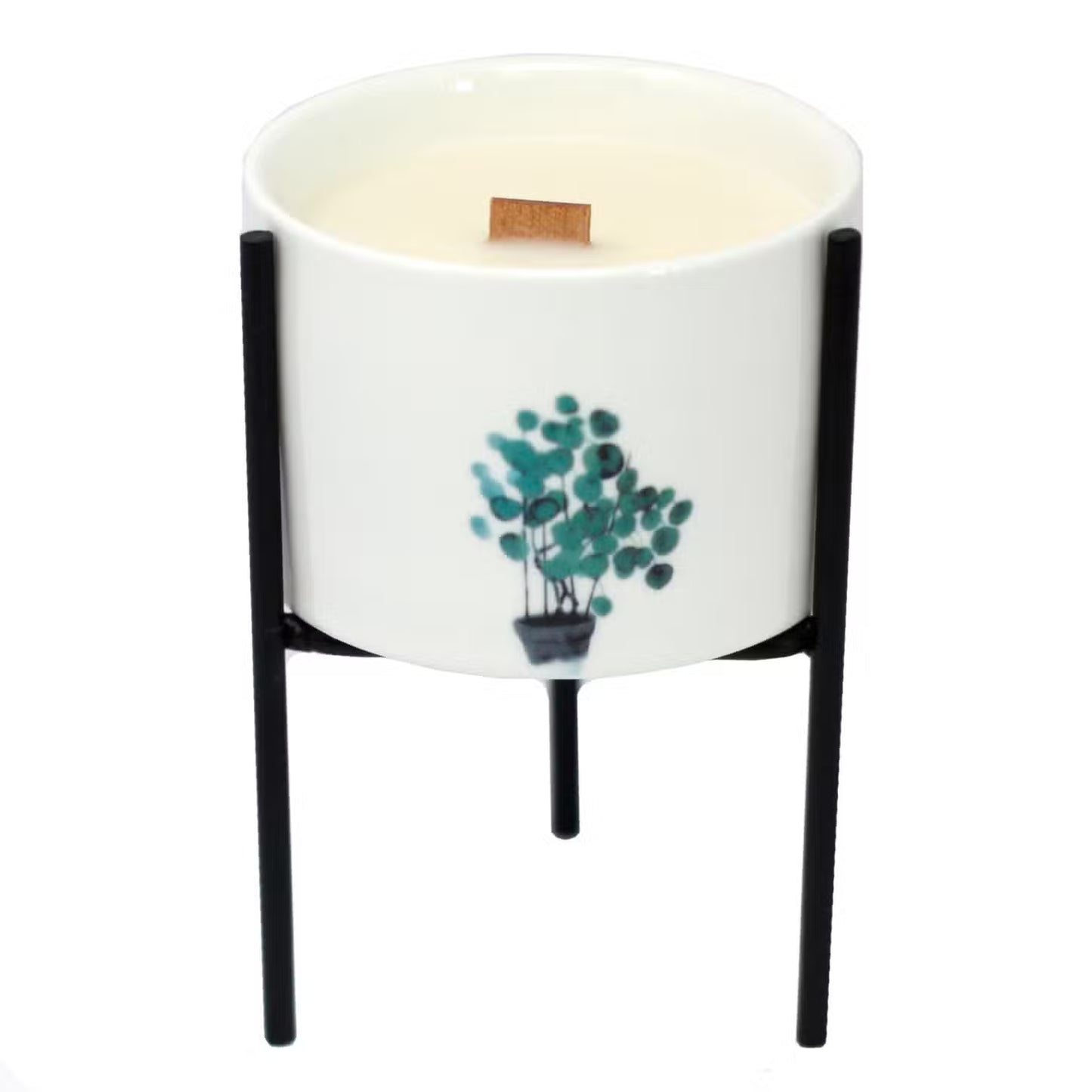 Candle in a white holder with a plant design on a white background