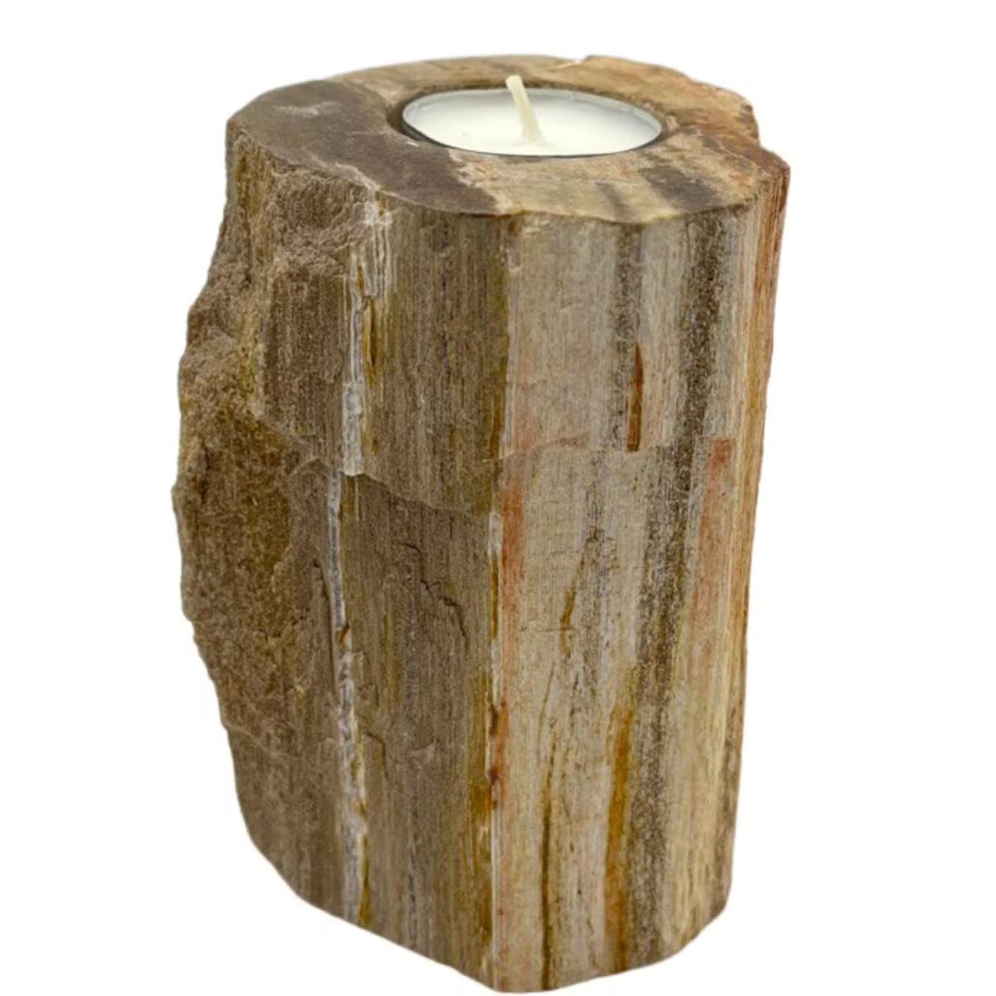 Petrified Wood Tealight Holder