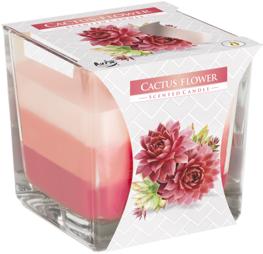 Rainbow Jar Candle (Cactus Flower)