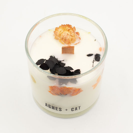 Agnes and Cat Lakeland Mocha Box Candle - Ettovi Candle Company