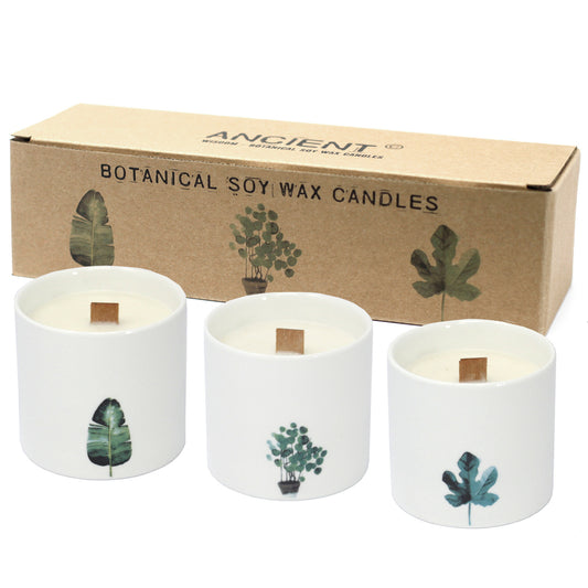 Botanical Candles (Victorian Peony)