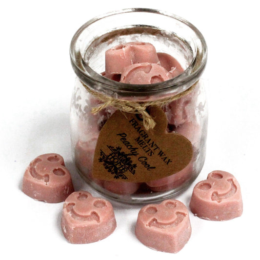 Soy Wax Heart Melts Jar - Peachy Cool