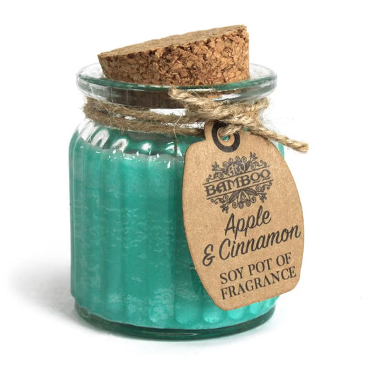 Soy pot of fragrance labeled 'Apple & Cinnamon' with a cork lid on a white background