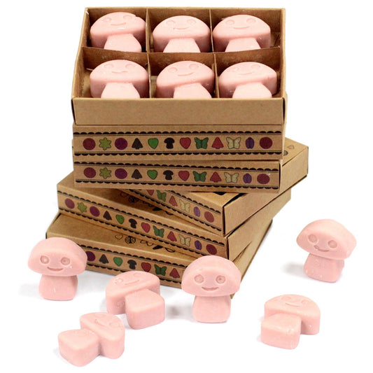 Soy Wax Melts (Coffee Trader) - Set of 6