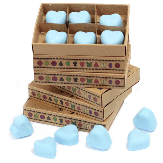 Soy Wax Melts (Dewberry) - Set of 6