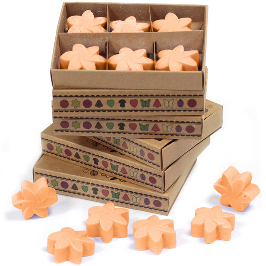Soy Wax Melts (Mango Fruits) - Set of 6