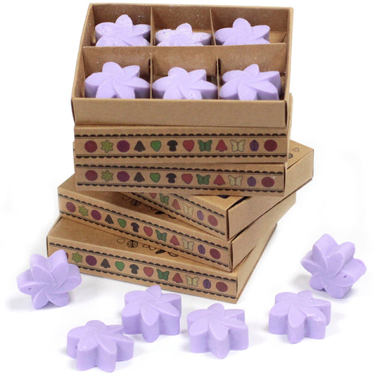 Soy Wax Melts (Lavender Fields) - Set of 6