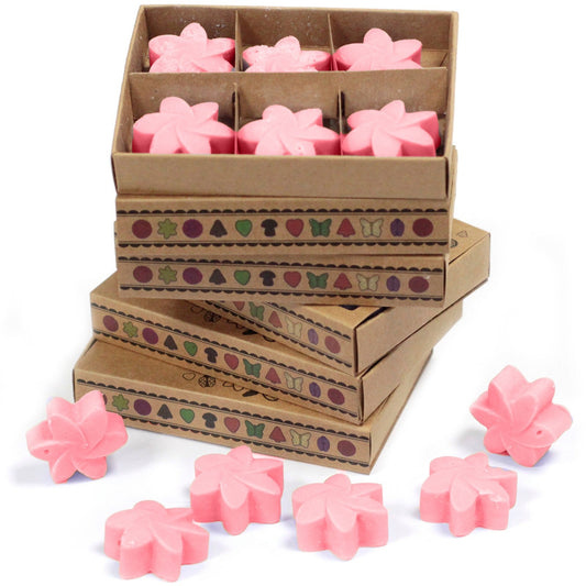 Soy Wax Melts (Japanese Magnolia) - Set of 6