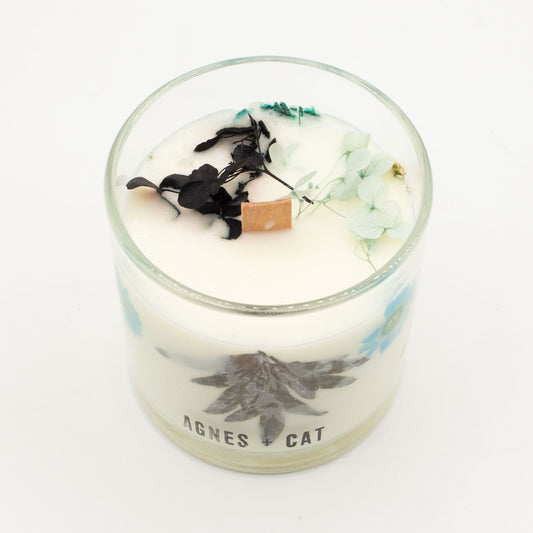 Agnes and Cat Seasalt & Moss Box Candle - Ettovi Candle Company