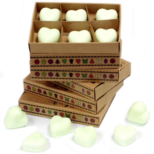 Apple Spice Wax Melt in a Box - Ettovi Candle Company