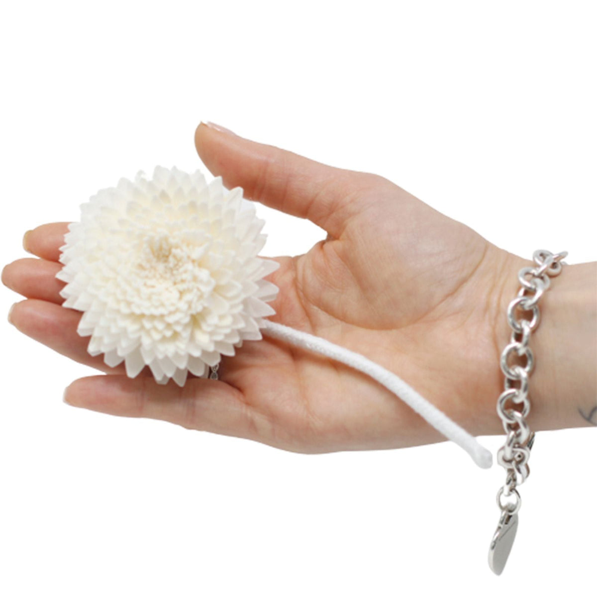 Carnation Natural Aroma Diffuser Flower – String, 2.5cm x 5.5cm - Ettovi Candle Company
