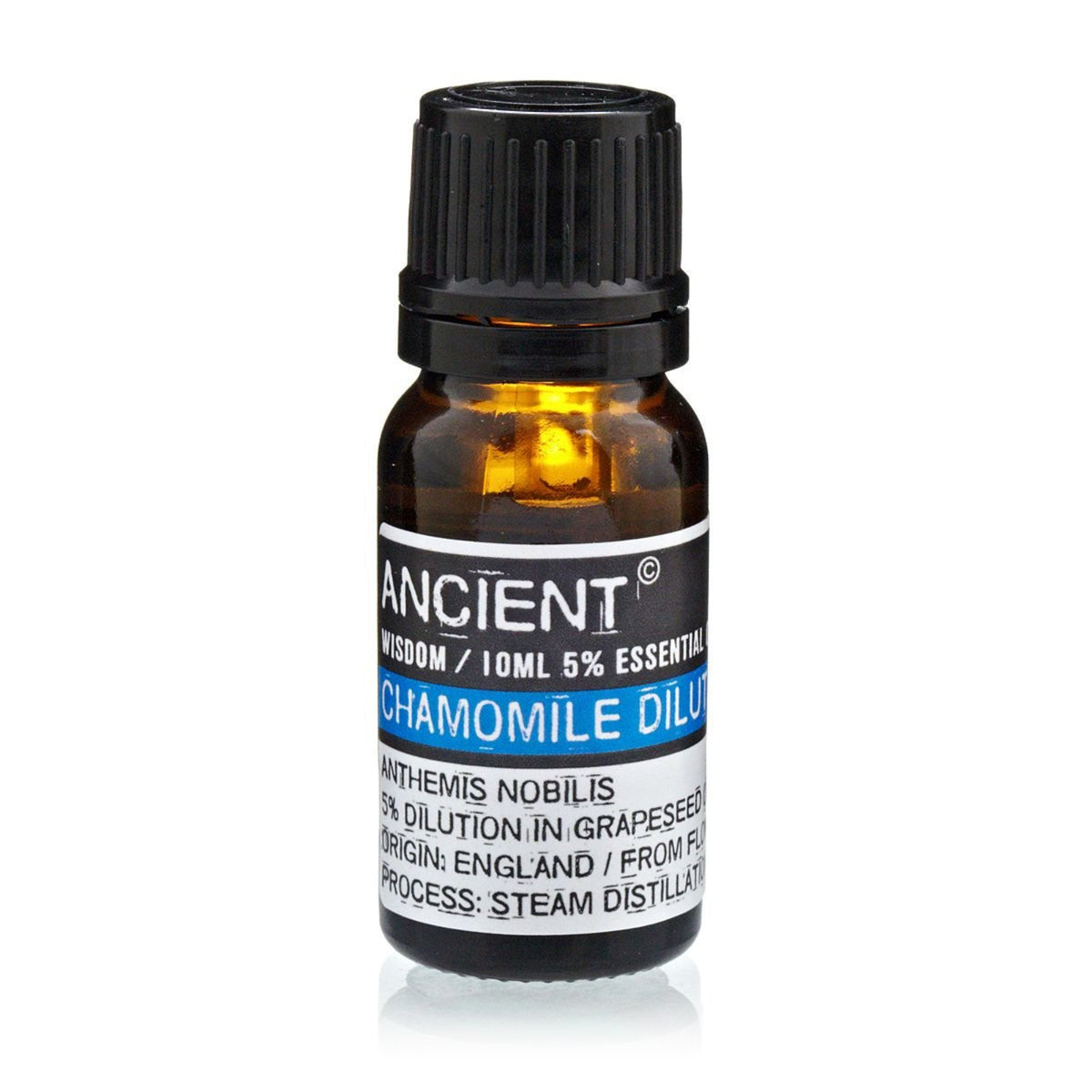Chamomile Roman Essential Oil Blend – Anthemis Nobilis – 10ml - Ettovi Candle Company