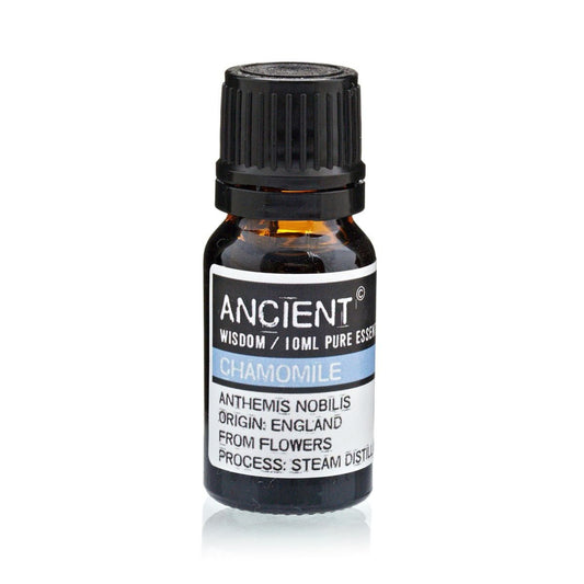 Chamomile Roman Pure Essential Oil – Anthemis Nobilis – 10ml - Ettovi Candle Company