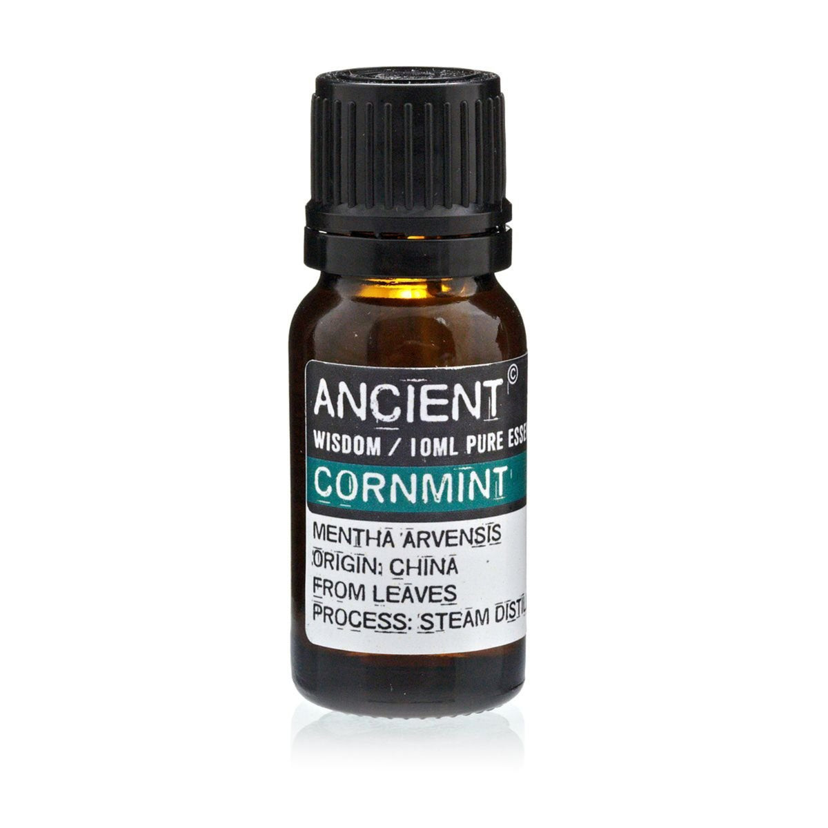 Cornmint Pure Essential Oil – Mentha Arvensis – 10ml - Ettovi Candle Company