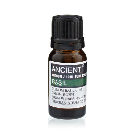 Basil Pure Essential Oil – Ocimum Basilicum – 10ml