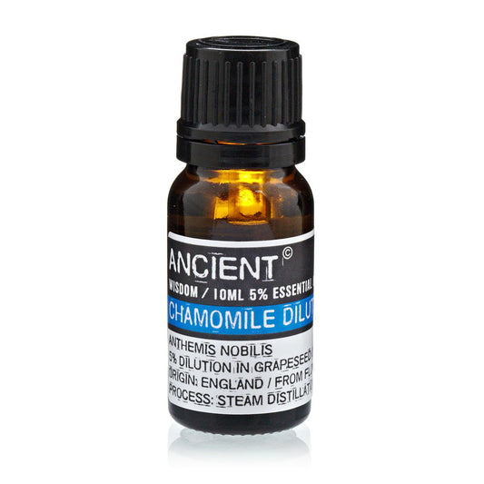 Chamomile Roman Essential Oil Blend – Anthemis Nobilis – 10ml