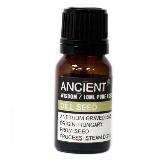 Dill Seed Pure Essential Oil – Anethum Graveolens – 10ml