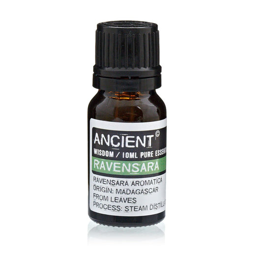 Ravensara Pure Essential Oil – Ravensara Aromatica – 10ml