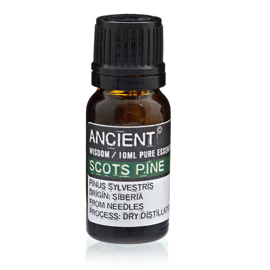 Scots Pine Pure Essential Oil – Pinus Sylvestris – 10ml