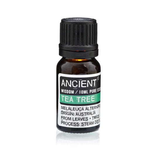 Lavender, Tea Tree & Rosemary Essential Oil Trio – 10ml