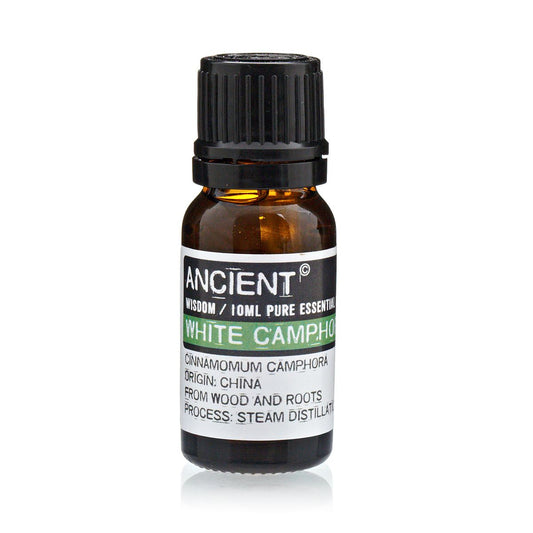 White Camphor Pure Essential Oil – Cinnamomum Camphora – 10ml