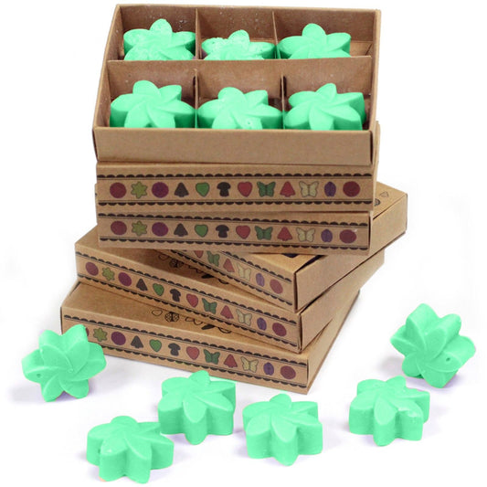 Hidden Garden Wax Melt in a Box - Ettovi Candle Company