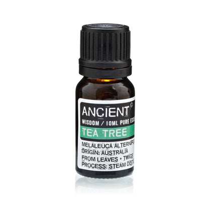 Lavender, Tea Tree & Rosemary Essential Oil Trio – 10ml - Ettovi Candle Company