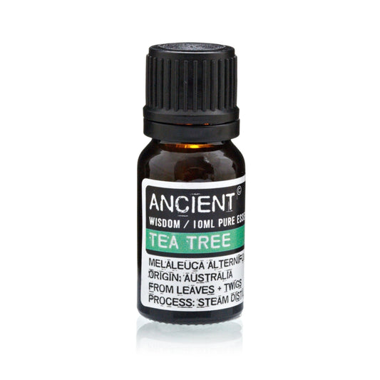 Lavender, Tea Tree & Rosemary Essential Oil Trio – 10ml - Ettovi Candle Company