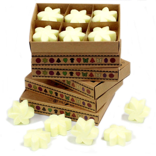 Lemon Harvest Wax Melt in a Box - Ettovi Candle Company