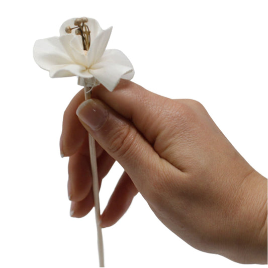 Lily Natural Aroma Diffuser Flower – Reed, 3cm x 4cm - Ettovi Candle Company