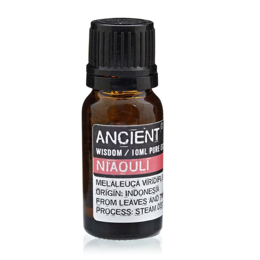 Niaouli Pure Essential Oil – Melaleuca Viridiflora – 10ml - Ettovi Candle Company