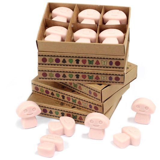 Old Ginger Wax Melt in a Box - Ettovi Candle Company