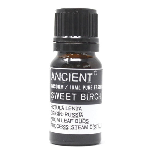 Sweet Birch Pure Essential Oil – Betula Pendula Roth – 10ml - Ettovi Candle Company