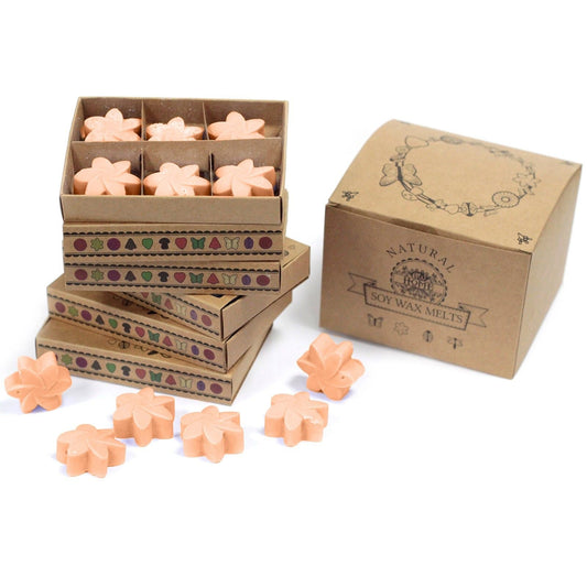 Tuberose Wax Melt in a Box - Ettovi Candle Company