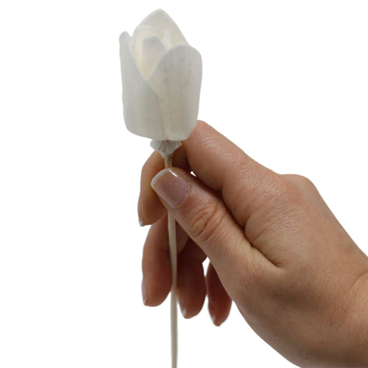 Tulip Natural Aroma Diffuser Flower – Reed, 6cm x 3cm - Ettovi Candle Company
