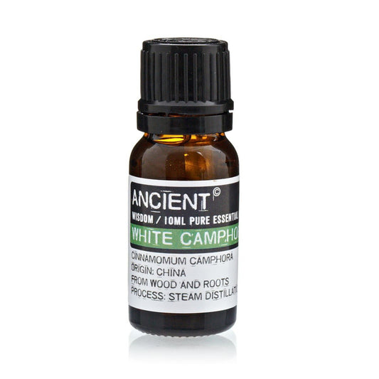 White Camphor Pure Essential Oil – Cinnamomum Camphora – 10ml - Ettovi Candle Company