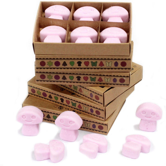 Ylang Ylang Wax Melt in a Box - Ettovi Candle Company